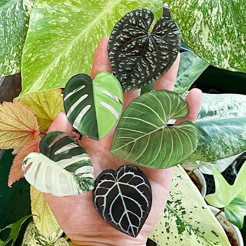 Glossy Simulation Leaf Phone H - Tech Accessories Phone 评论和价格
