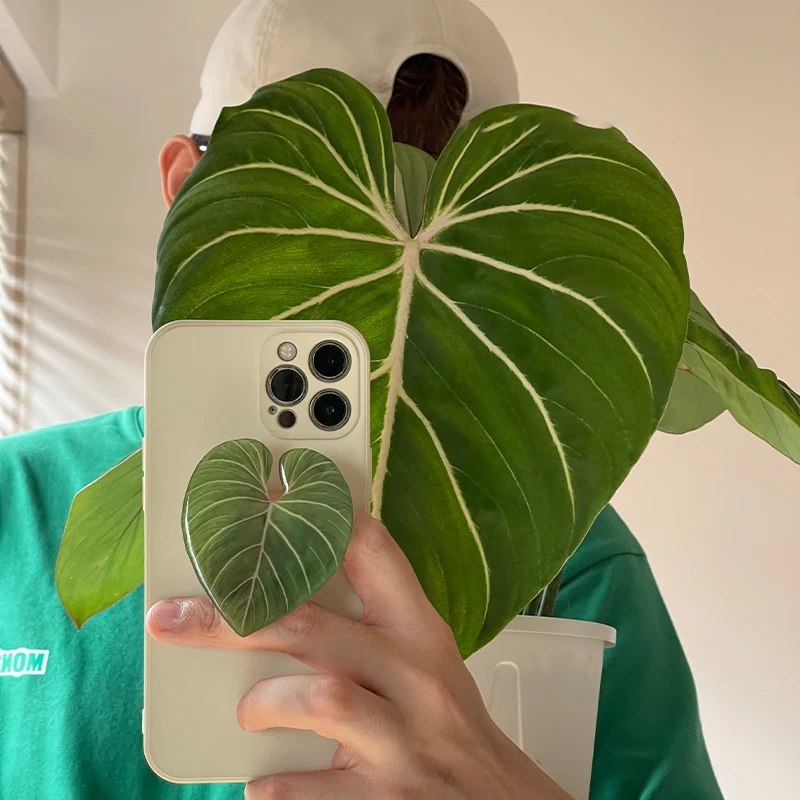 Glossy Simulation Leaf Phone H - Tech Accessories Phone 评论和价格